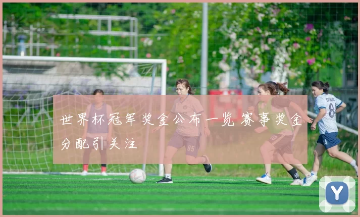 世界杯冠军奖金公布一览 赛事奖金分配引关注